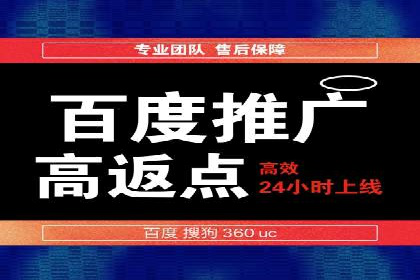 百度竞价代运营公司成功案例分析